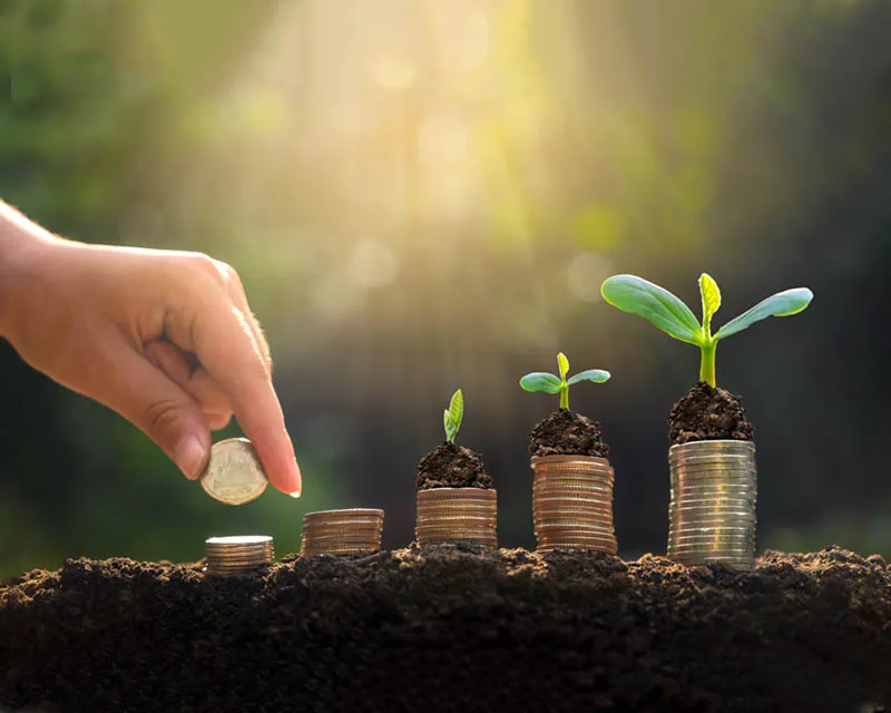 مؤسسة بداية أمل للتنمية و الخدمات